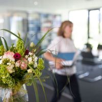 Buchhaltung vom Steuerberater in Reutlingen